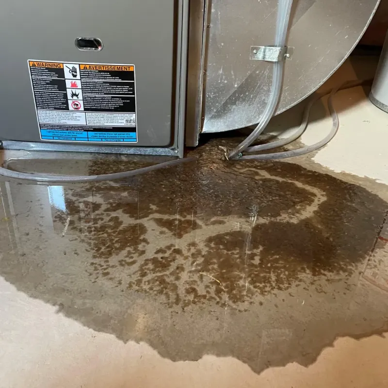 Appliance Leak Cleanup in Hometown, IL