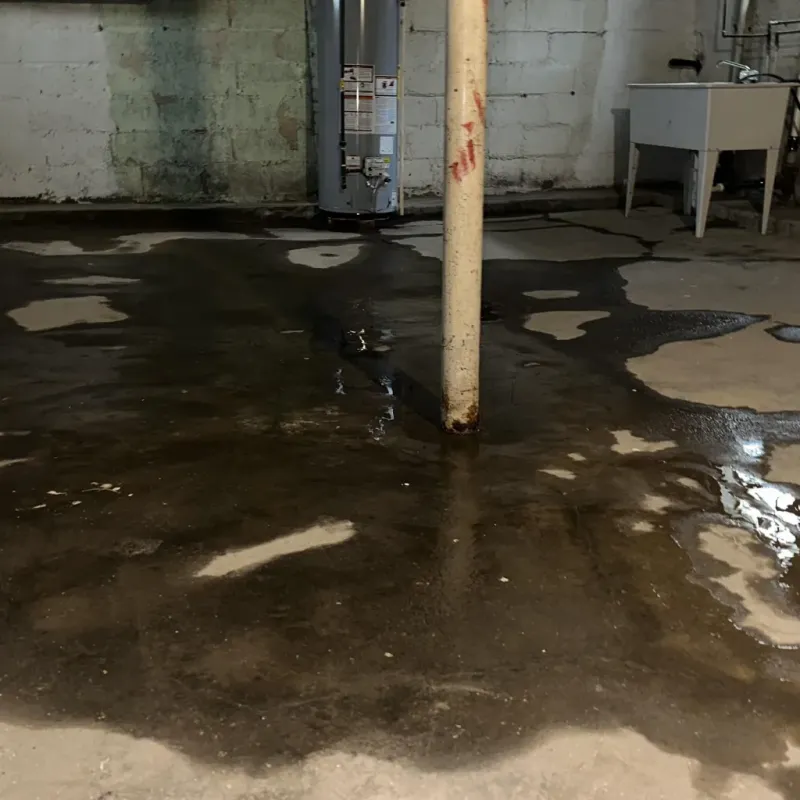 Emergency Water Extraction And Removal in Hometown, IL